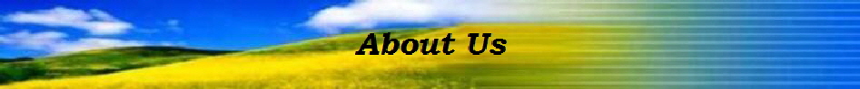 About-Us_Nbanner